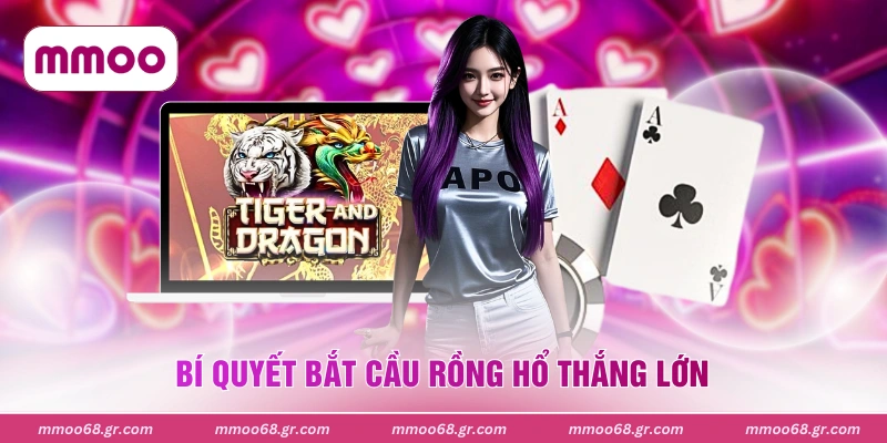 Bí quyết bắt cầu rồng hổ thắng lớn